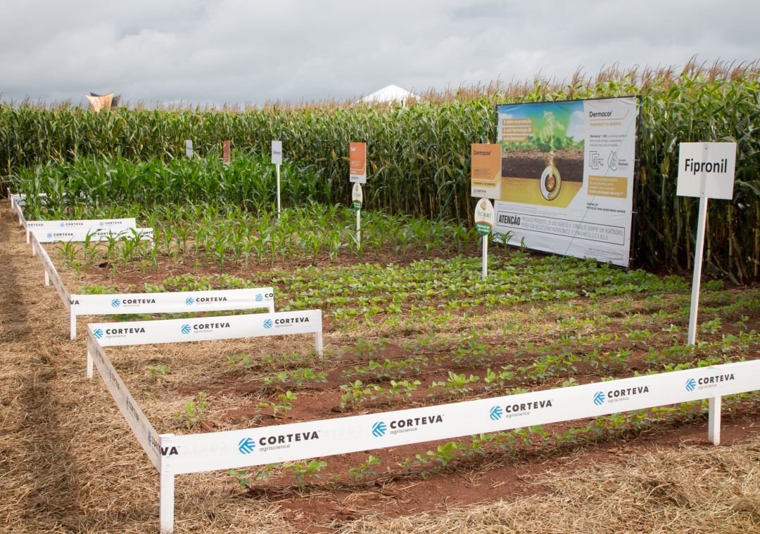 DIA DE CAMPO ADAIR BOLDRIN RIO VERDE 24-01-2020 (325)