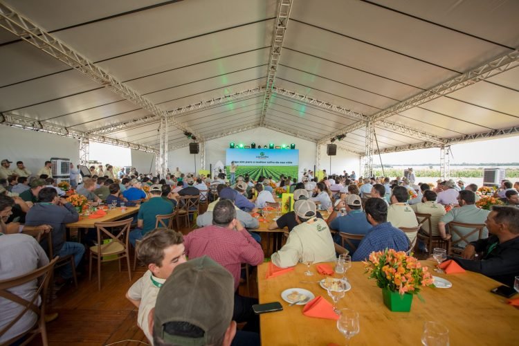 Dia de Campo Conceito Sementes (355)