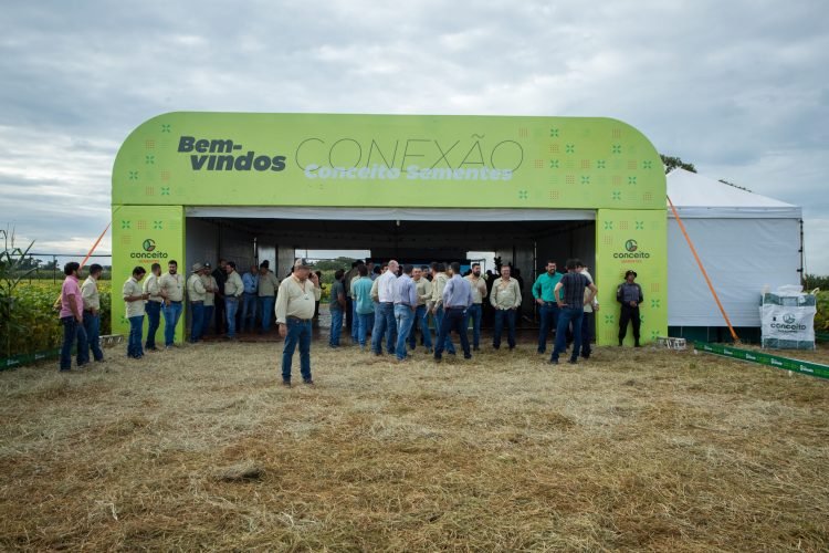 Dia de Campo Conceito Sementes (4)